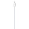 USB-C to Lightning cable / Type C-Apple cable- 2 metres - Image 2
