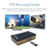 Q Sport HD Satellite receiver-1080p - Image 3