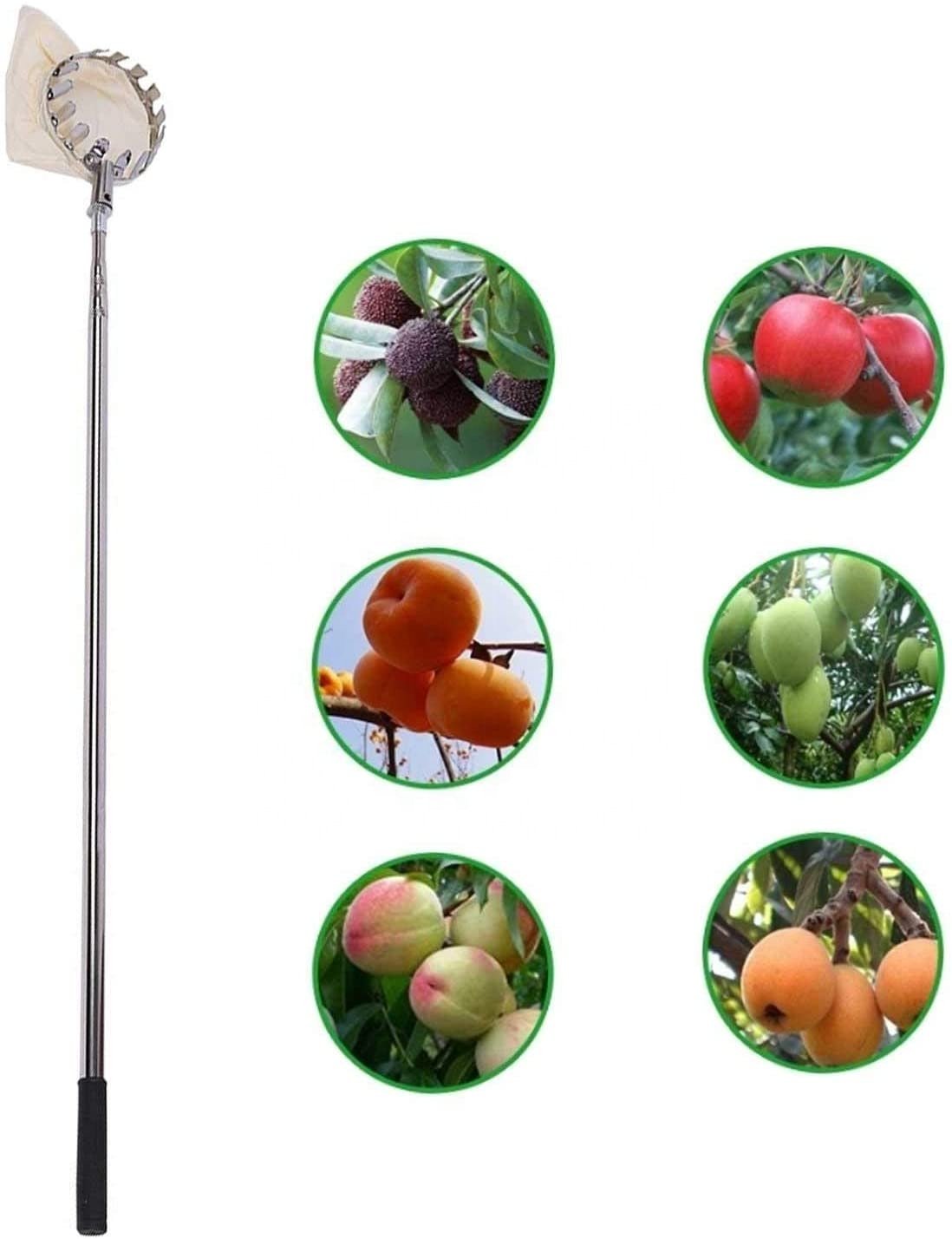 Fruit-picker with 3 meter rod...