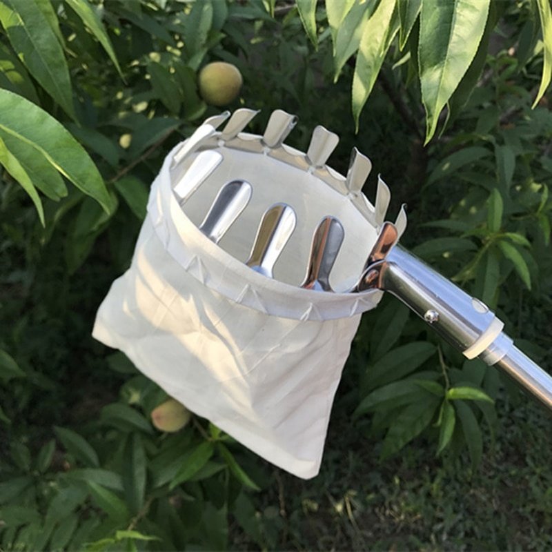 Fruit picker with 3 meter rod - Image 6