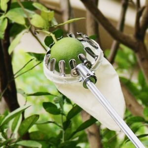 Fruit-picker with 3 meter rod
