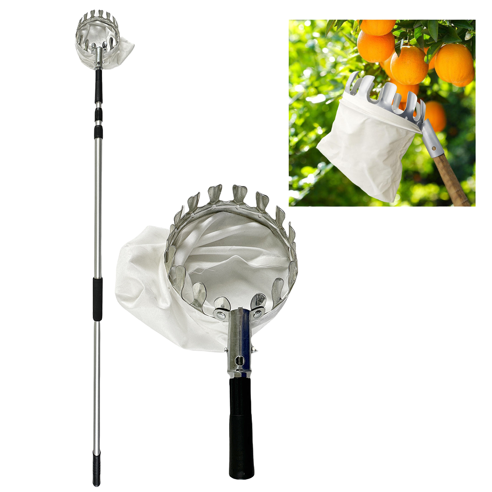 Fruit-picker with 3 meter rod.